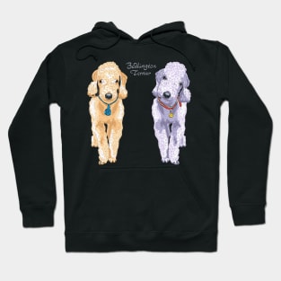 Two dogs Bedlington Hoodie